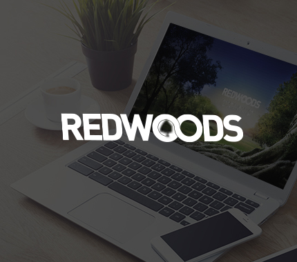 뿌리깊은나무들